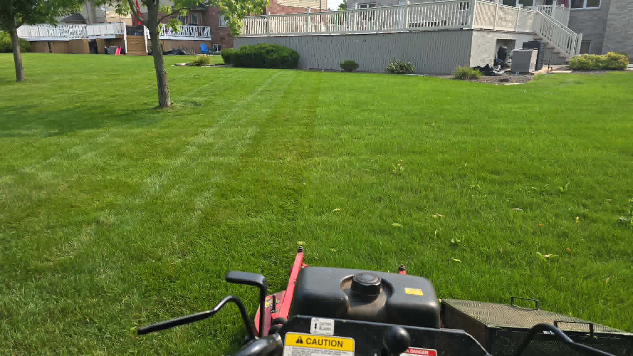 Clean mowed lawn